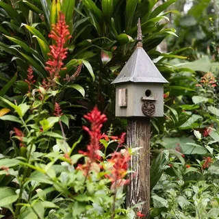 thumbnail for publication: Wildlife-Friendly Landscapes